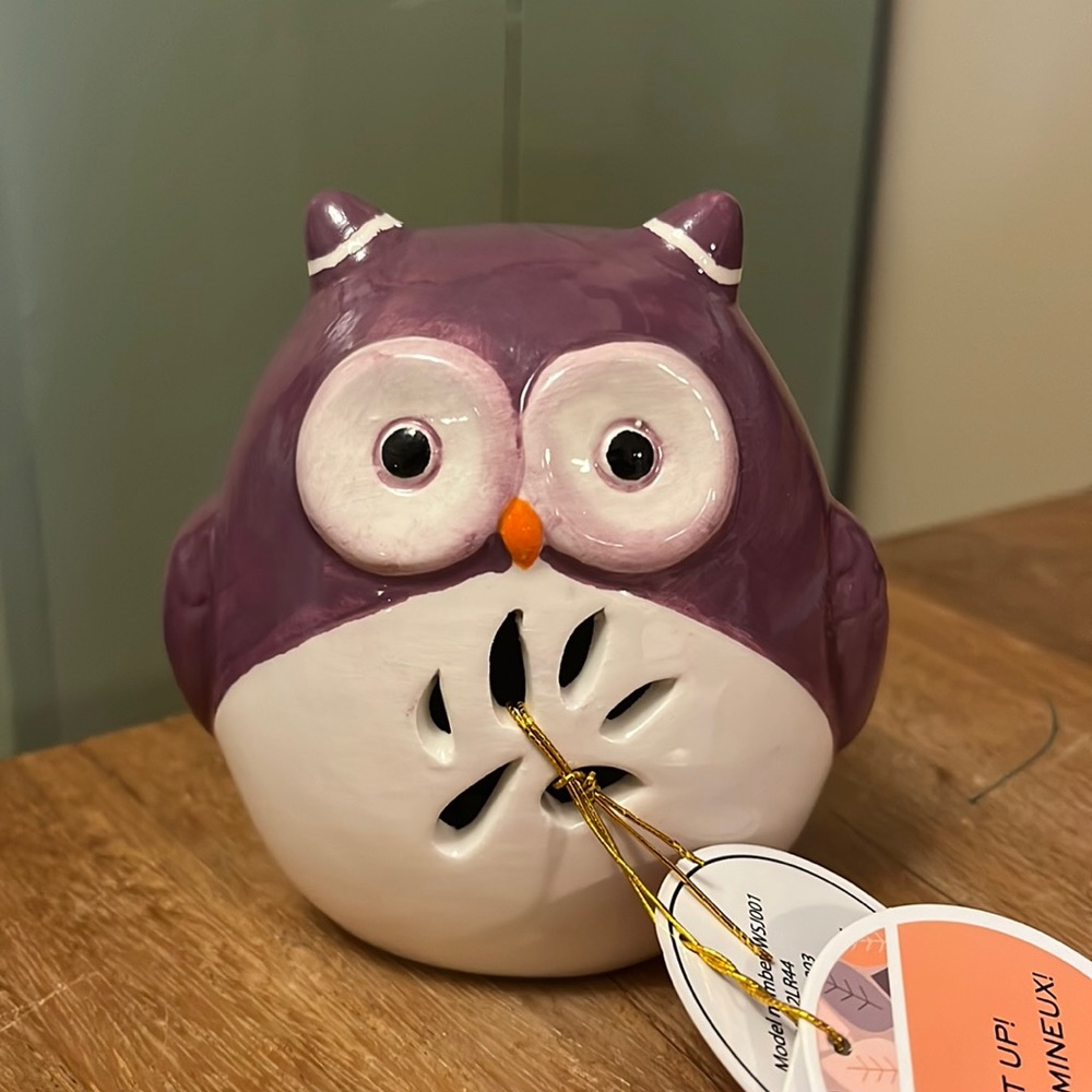 🦉 Light Up Decorative Owl 🦉